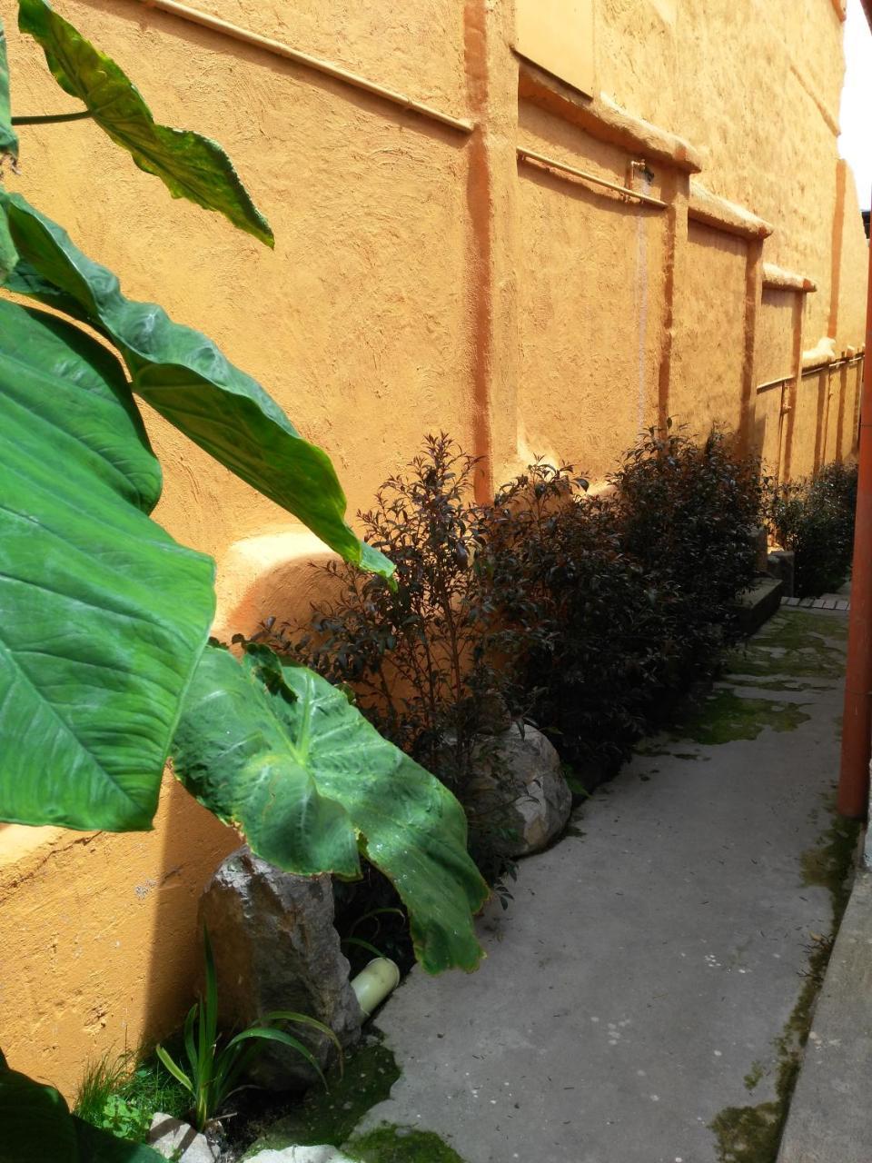 Casa-Arbol Leilighet Bogotá Eksteriør bilde